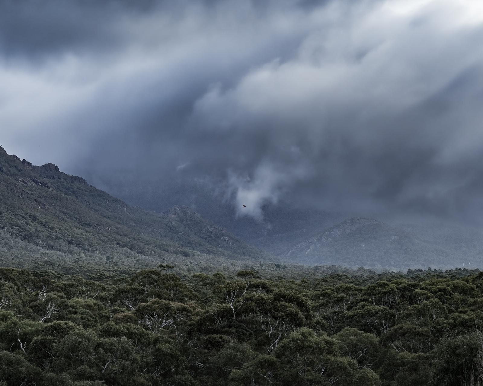 Storm clouds rolling over mountains and forest, photographed by Marios Vogiatzis